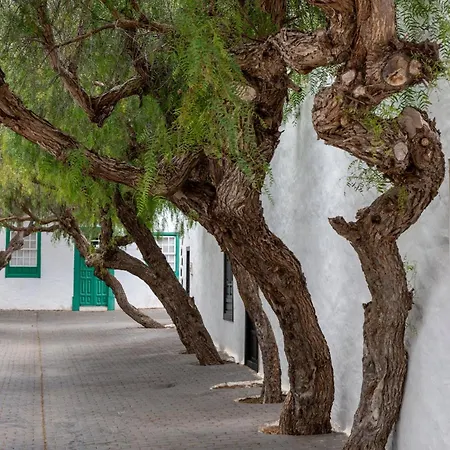 Apartman Tranquilo En La De Lanzarote